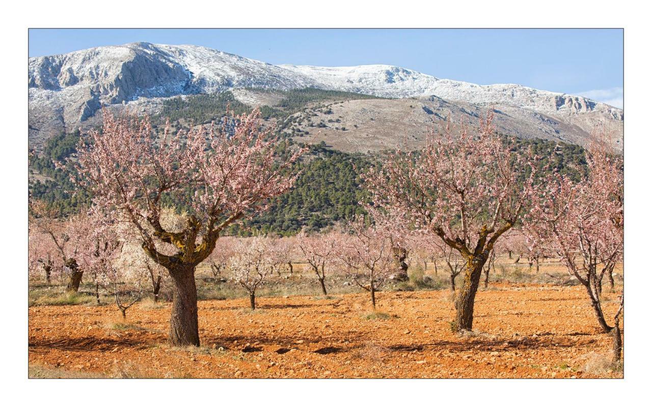 Casa Lamberdina Bed and Breakfast Fuensanta  Εξωτερικό φωτογραφία
